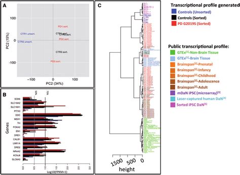 Transcriptomic Evaluation Of An Ipsc Derived And Purified Model Of Download Scientific Diagram