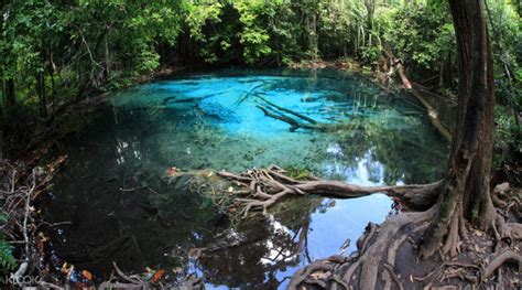 Jungle Tour To Tiger Cave Temple Hot Springs Crystal Pool Klook