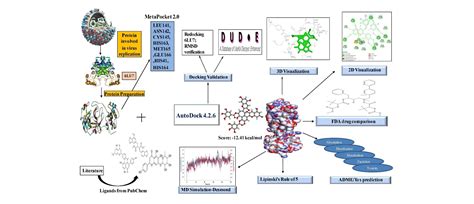 Molecular Docking