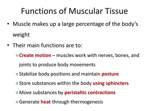 Muscle Tissues Types Functions Characteristics Shape