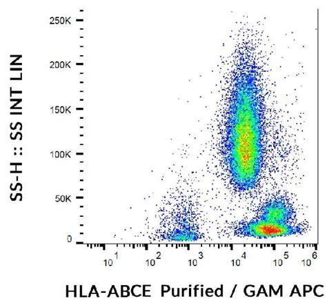 Anti HLA E HLA Class 1 ABC Antibody TP25 99SF Ab242029 Abcam