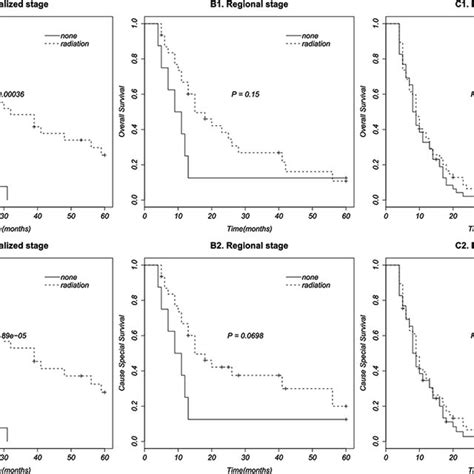 Survival curves in patients according to radiation therapy based on ...