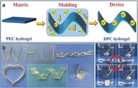 A Illustration For The Preparation Of Moldable Hydrogel Device B