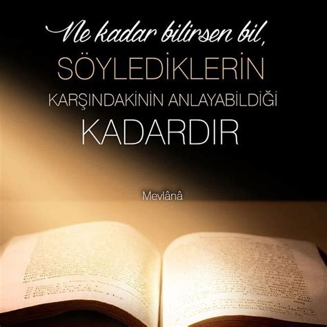mevlana celaleddin  rumi sen ne soylersen soyle soyledigin