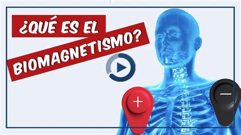 Qué es el biomagnetismo YouTube