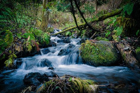 Images Gratuites Paysage Eau La Nature Cascade Ruisseau R Gion