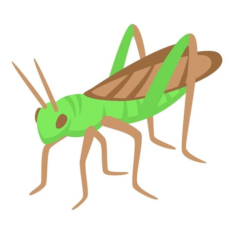 Premium Vector Insect Grasshopper Icon Isometric Vector Creature Natural