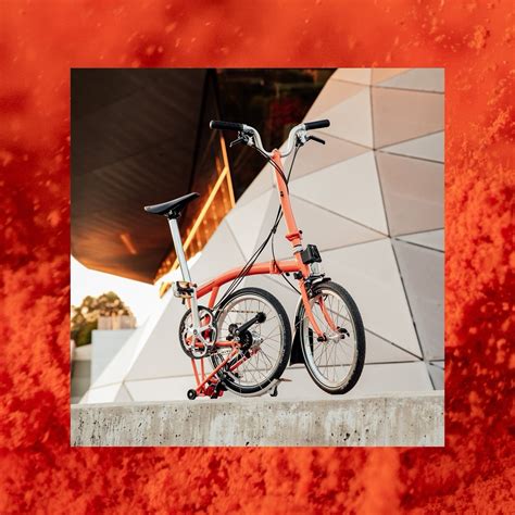 Sally Brompton Globe: This Will Save You Time and Money - 4ph81jh