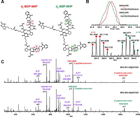 Figure From Large Scale And Targeted Quantitative Cross Linking Ms