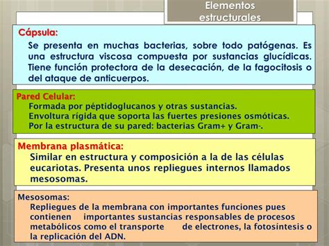 Pdf Microbiologia I Microred Files Wordpress Dos Grandes