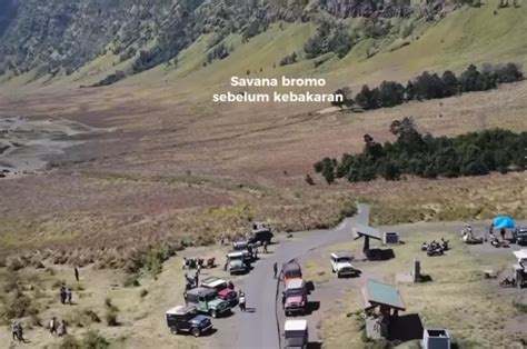 Perbandingan Savana Gunung Bromo Sebelum Dan Sesudah Kebakaran Gegara