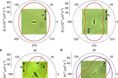 Electrostatically Controlled Surface Boundary Conditions In Nematic