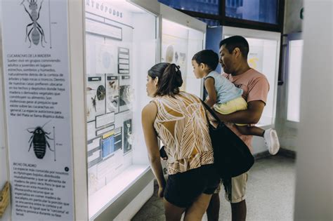 El Museo Municipal De Ciencias Naturales Lorenzo Scaglia Celebra Su