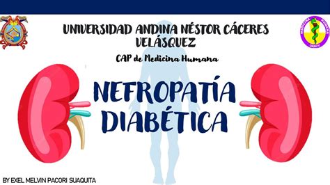 Nefropat A Diab Tica Exel Melvin Pacori Suaquita Udocz