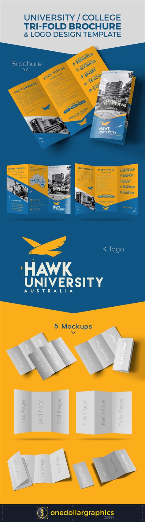 University College Tri Fold Brochure And Logo Design Template With 5