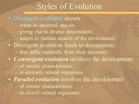 Evolution—the Theory And Its Supporting Evidence Ppt Download