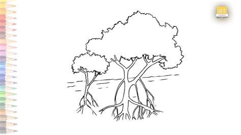 Mangrove Tree Drawing