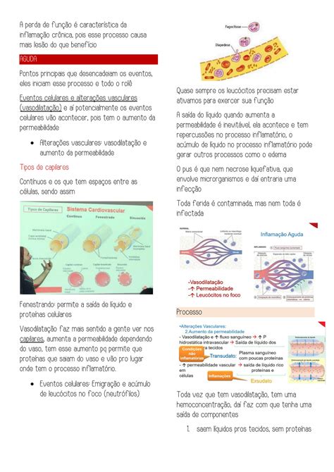 Solution Patologia Inflama O Enfermagem Studypool