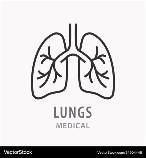 Human Lungs Line Icon On White Background Vector Image