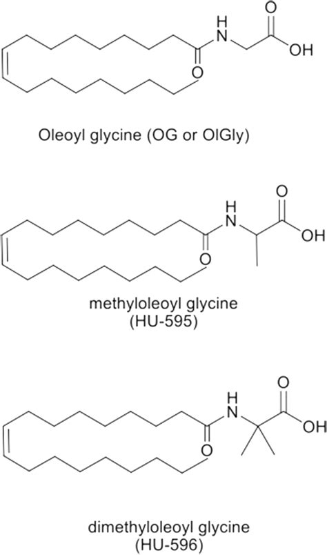 Structure of oleoyl glycine, monomethyl oleoyl glycine (oleoyl alanine ...