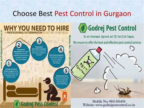 Ppt Choose The Best Pest Control In Gurgaon Powerpoint Presentation