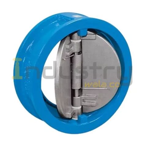 Cast Iron Dual Plate Check Valve Wafer Type Industrywala