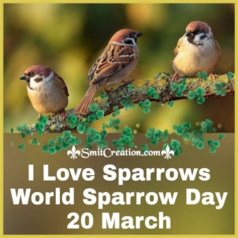 Save Sparrows Save Nature World Sparrow Day 20th March