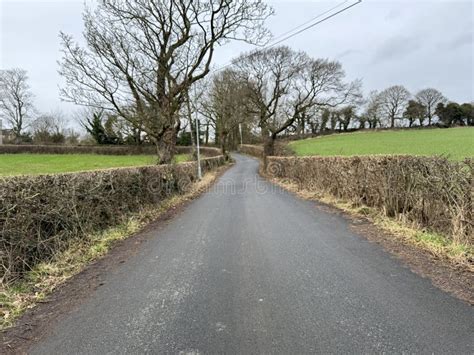 Winter Looking Up Hare Lane With Hedges And Trees In Pudsey