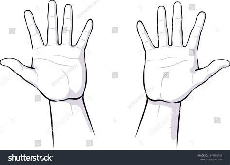 Drawing Illustration Human Palm Hand Vector Stock Vector Royalty Free