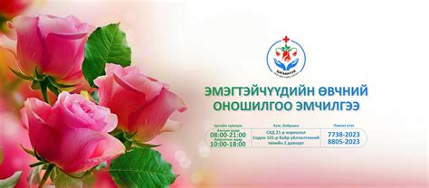 Цагаан уул эмнэлэг/ Tsagaan Uul emneleg | Ulaanbaatar