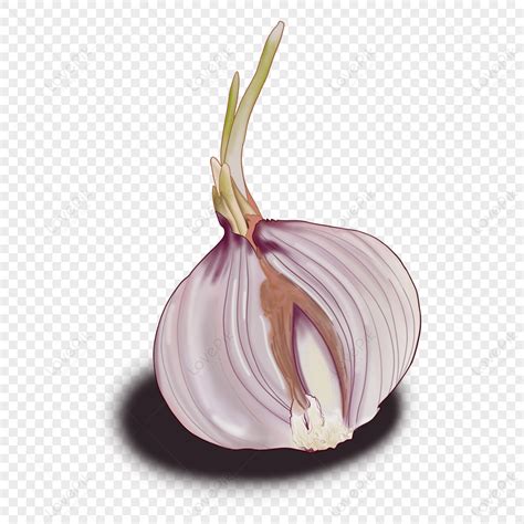 Noodle Drawing Images Hd Pictures For Free Vectors Download