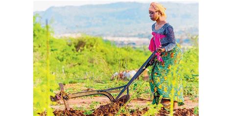 Transforming Agriculture Sector In Tanzania Through Building Climate