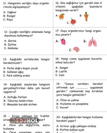 Fen Bilimleri Nite Testi Eduhol Etkinlik Ndir Oyun Oyna