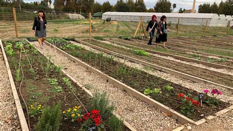 Lhort comunitari Lo Tros d Amposta samplia amb onze parcelles més