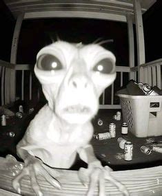 Crazy goofy ahh alien in 2024 | Aliens funny, Silly pictures, Really funny pictures