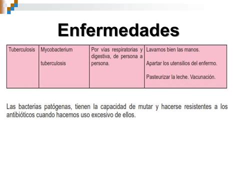 Ciencias Naturales Estudio De Las Bacterias Ppt Descarga Gratuita