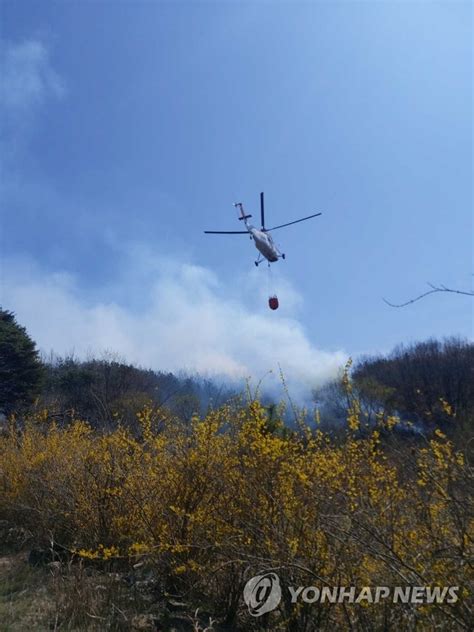 강릉 산불 50여분 만에 꺼져 연합뉴스