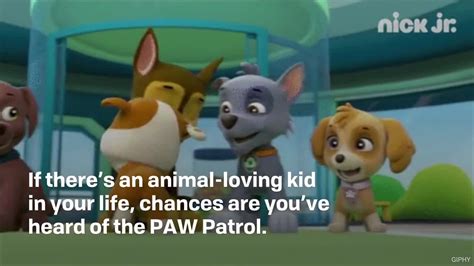 PAW Patrol Dog Names Pawsitively Perfect for Your Hero Pup