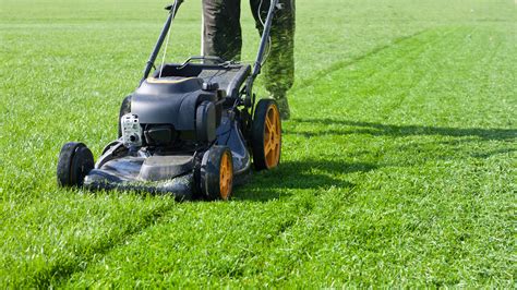 Mowing The Lawn