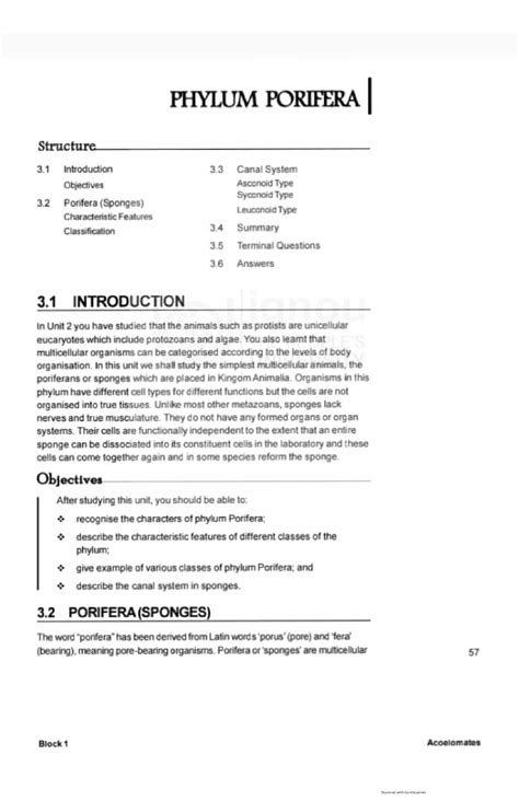 Solution Phylum Poriferabiology Notes B Sc Studypool