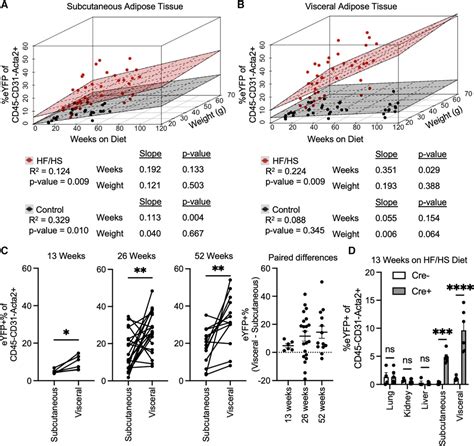 Frontiers Obesity Accelerates Endothelial To Mesenchymal Transition