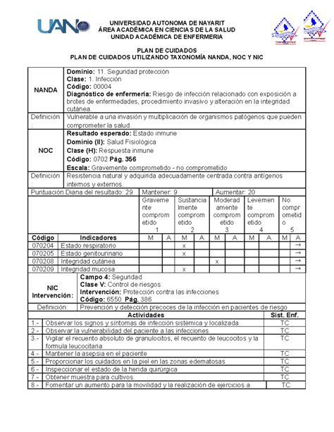 Diagnosticos De Enfermeria En Salud Mental Y Psiquiatria Nanda 5