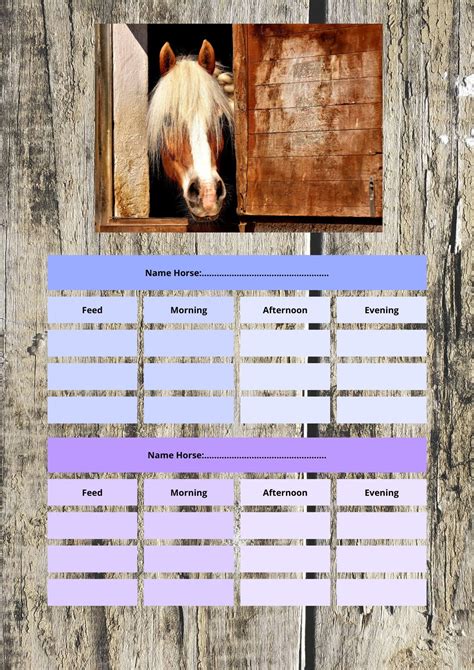 Feed Schedule Horse Feed Planner A4 - Etsy