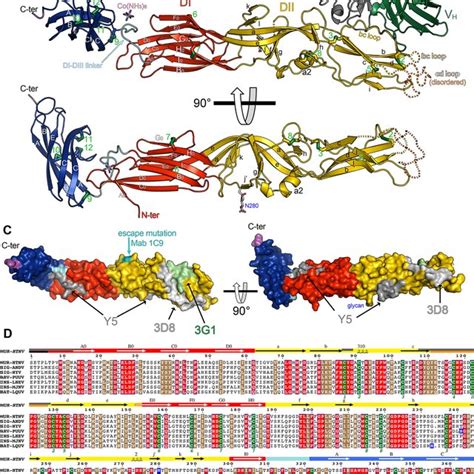 PDF Mechanistic Insight Into Bunyavirus Induced Membrane Fusion From