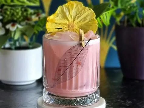 mengenal minuman cocktail  coba  resepnya yuk