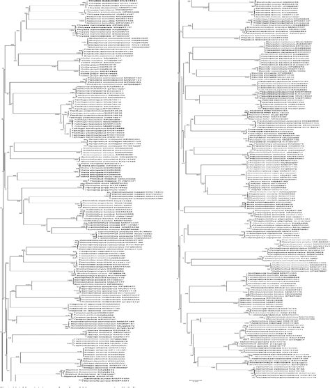 Figure 1 From DNA Barcoding For Identification Of Fish Species In The