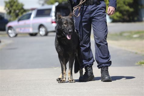 Armed Robbery Charges Gold Coast Queensland Police News