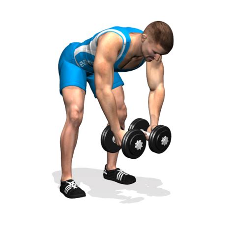 Bent Over Dumbbell Reverse Fly Back To Workout