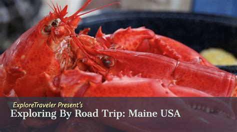 American-lobster - ExploreTraveler