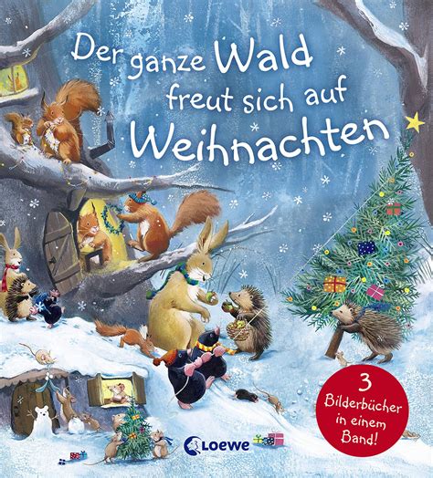 Weihnachtsbücher für Kinder Weihnachtsgeschichten zum Vorlesen